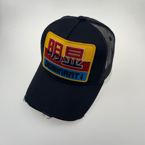 DOMINANT1 embroidery Chines symbol cap